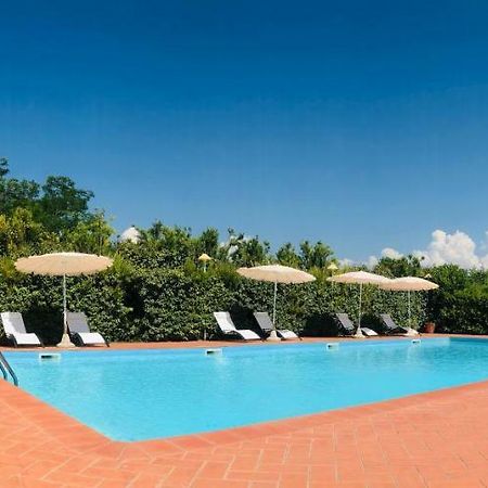 Villa Lavinia B&B Montescudaio Bagian luar foto