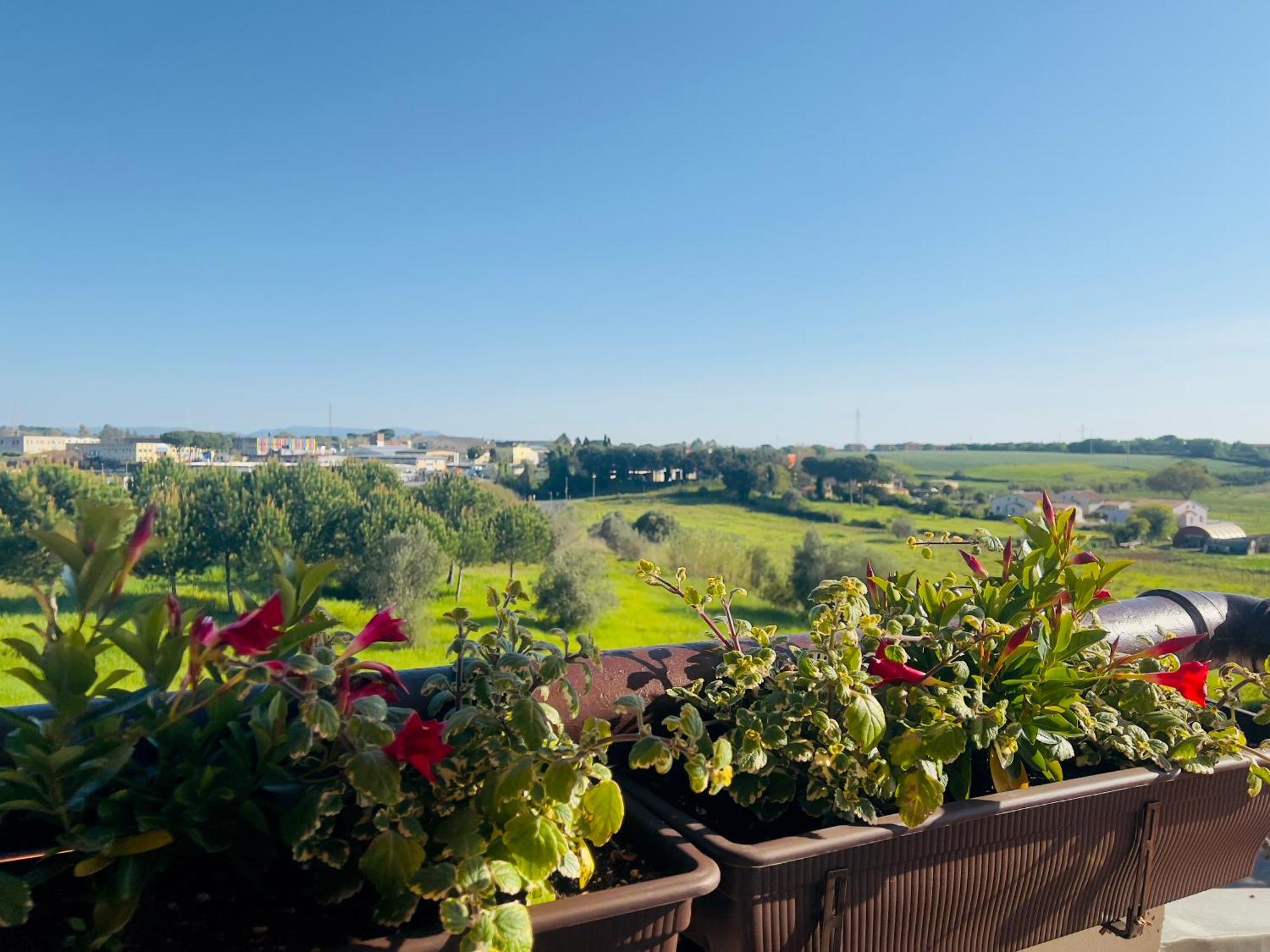 Villa Lavinia B&B Montescudaio Bagian luar foto