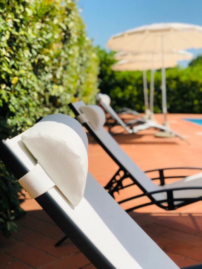 Villa Lavinia B&B Montescudaio Bagian luar foto